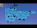 ОТЧЕТ ГОЛУБЕВОДА ЗА ДВА МЕСЯЦА ЗИМЫ 2022 ГОДА