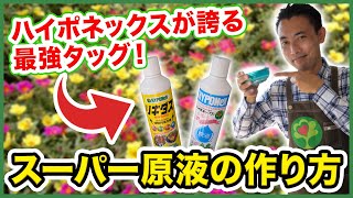 【園芸の基本】スーパー原液の正しい作り方を徹底解説〜ハイポネックスが誇る最強タッグとは？スーパー原液の活用方法をご紹介！〜【園芸塾】【ハイポネックス】