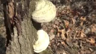 Podmorský Zosuv 4.4.2017