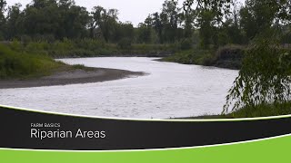 Riparian Areas