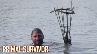 Using Rattan Vines To Build A Fish Trap To Survive Primal Survivor