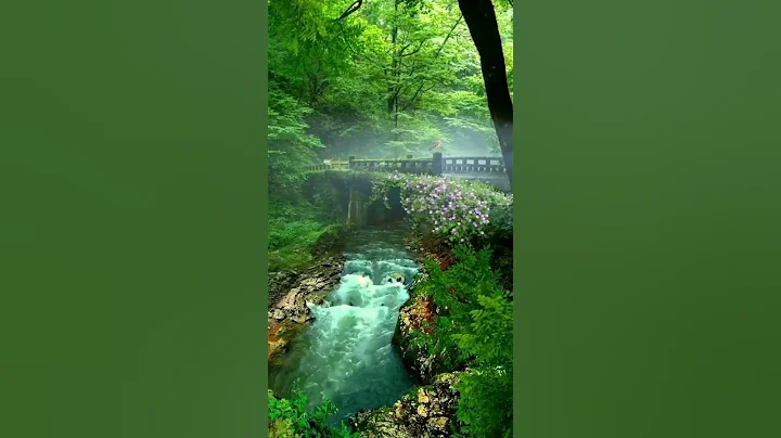 成年人的告別，是悄無聲息的，不爭執、不抱怨、不拆穿…… - 天天要聞