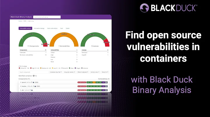 Find open source vulnerabilities in containers with Black Duck Binary Analysis | Black Duck