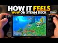 World of Warcraft Forever on Steam Deck My Story amp 