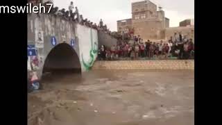 شاهد شجاعة اهل اليمن يسبحو في ماء المطر في سائلة صنعاء