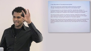 Partha Mitra - The Missing Circuits: Studying Entire Brains (March 23, 2011)