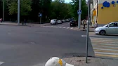 Семья Сорокиных