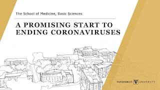 A Promising Start to Ending Coronaviruses Webinar