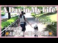 とある日の朝♡モーニングルーティン風Vlog || 子どもたちと過ごす暑い夏の日の朝❁︎