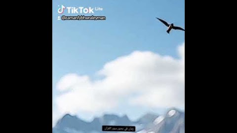 مشاعر وفوائد والحب في سور القرآن الكريم الحب لسورة المزمل #القران_الكريم_راحه_نفسية