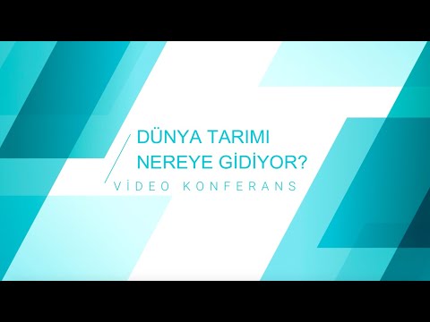 Video: Seks Ve The 2 Çılgın Cynthia Nixon Hayranları Tarafından Anlaşılmaz Olan Stormed