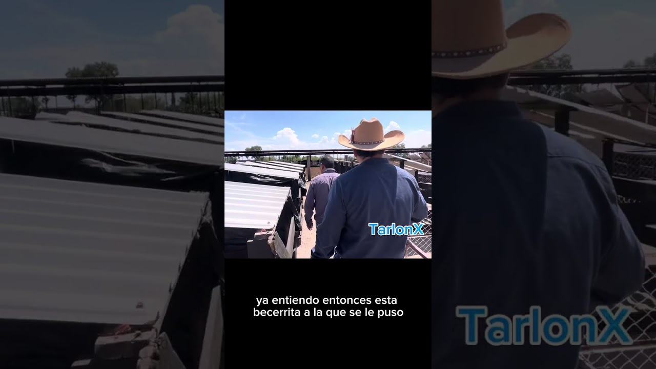 Testimonio de Establo Los Flores