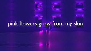 bubblegum by clairo (lyrics)