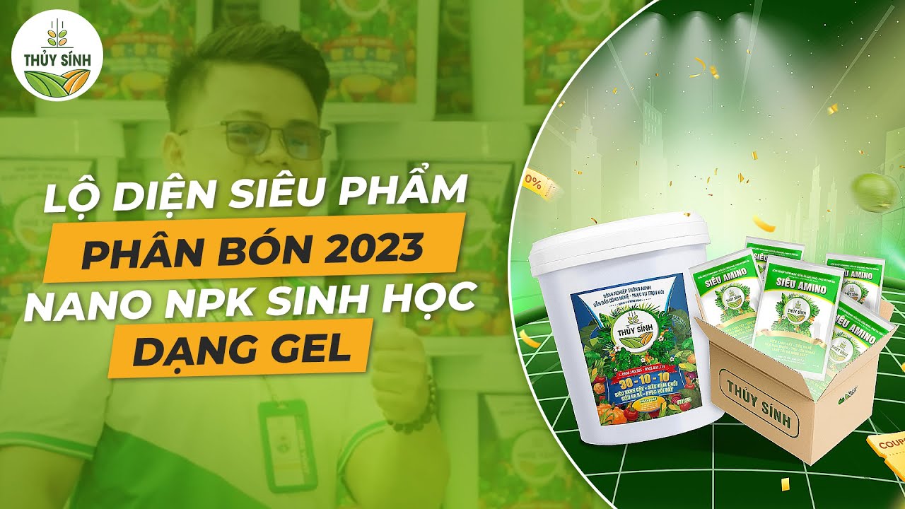 Phân Bón Thủy Sinh Là Gì? Cách Dùng Đúng Giúp Cây Thủy Sinh Xanh Mướt, Không Rêu Hại