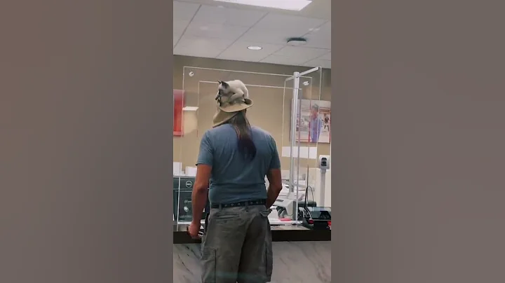 Cute Kitten Rests on Man's Hat || ViralHog