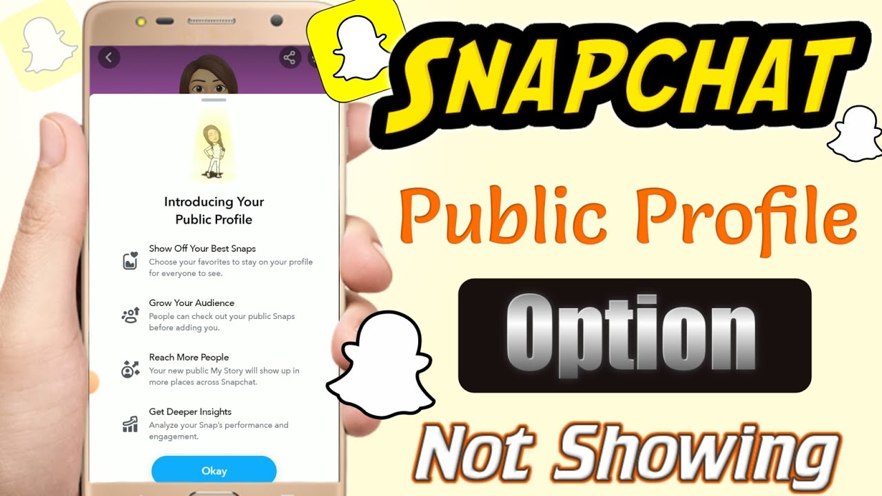 snapchat-public-profile-option-not-showing-2024-how-to-fix-snapchat