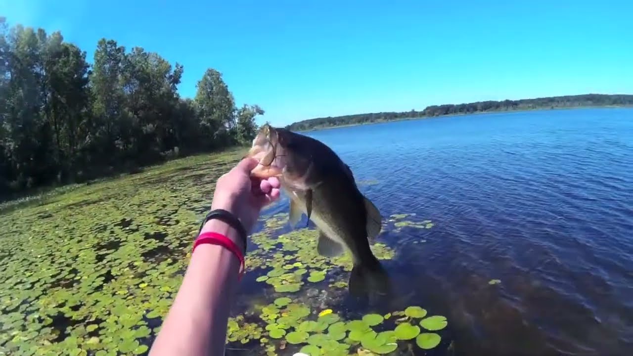 Stand up paddle board bass fishing with topwater frogs YouTube
