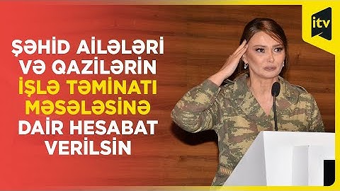 Milli Məclisdə şəhid ailələri və qazilərin işlə təminatı məsələsi qaldırılıb