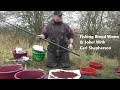 Blood Worm & Joker On The Canal With Carl Shepherdson