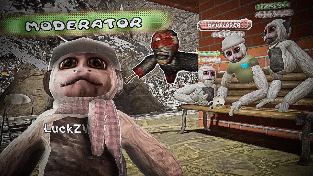 I Returned to Monkey Hub Vr…