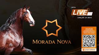 Live de Criação - Haras Morada Nova