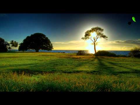 Wadafunk - Oxygen (Original Mix)