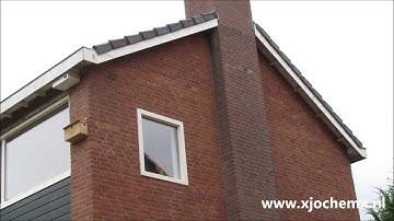 Common Swift bangers Goudenregenstraat July 10th 2013