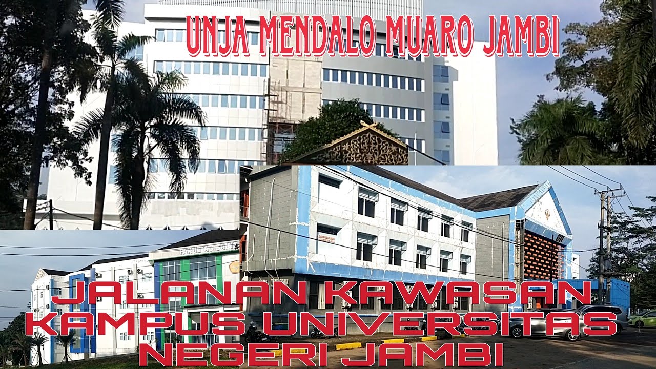 Jalan - jalan keliling kampus universitas negeri Jambi 2024#unjamendalojambi#unja#jambi