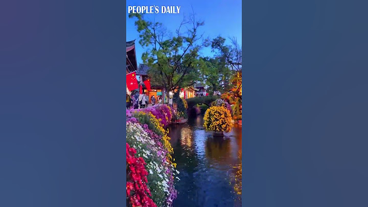 Glimmering canals and vibrant flowers in Lijiang, SW China's Yunnan, make a beautiful night tour