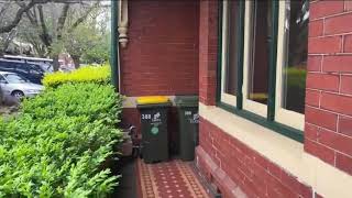 388 Napier St Fitzroy 3165
