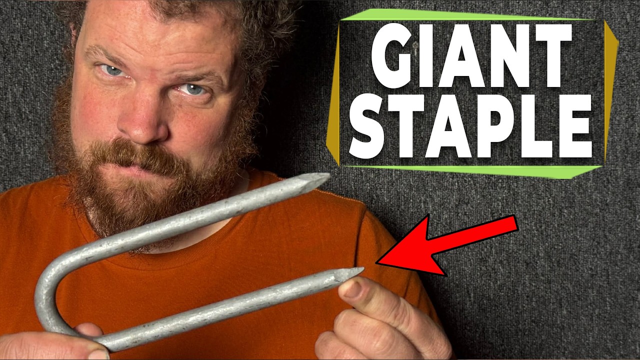 You put that in a tree?