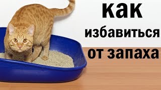 Как избавиться от 'кошачьего запаха'. САМОЕ ЛУЧШЕЕ СРЕДСТВО.