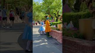 Mad Hatter & Alice Discovered His Statue Magic Kingdom