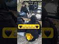 #iran #وطن #تسلیت #shorts #song