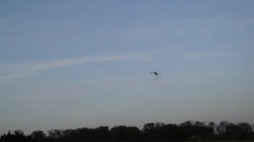 T - Rex 700 LE KDE E Conversion by Helituning.ch flown by Adrian Zobrist