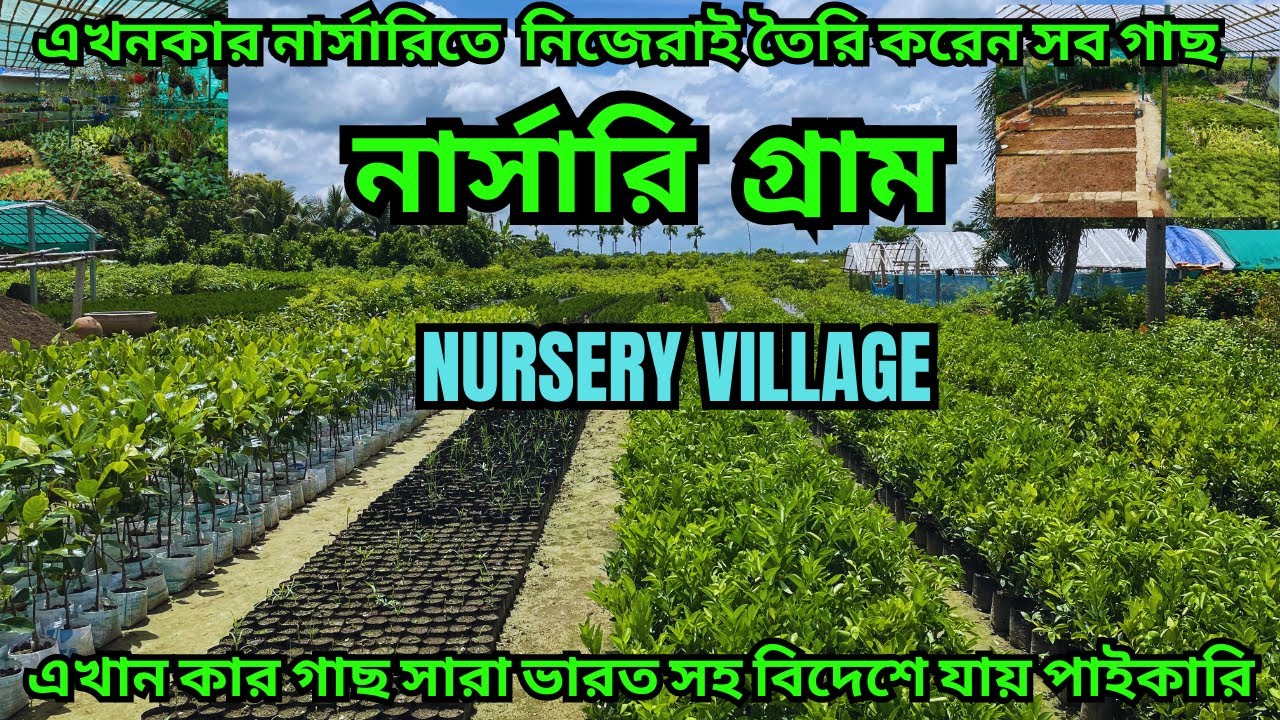 এই গ্রামে যেদিকে যাবেন শুধু নার্সারি দেখতে পাবেন || All Type Flower And Fruits Nursery