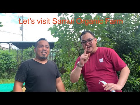 Let’s visit Samui Organic Farm..