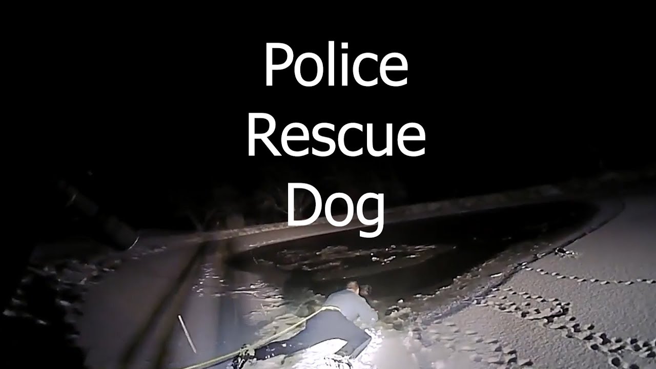 Police Rescue Dog That Fell Through Ice