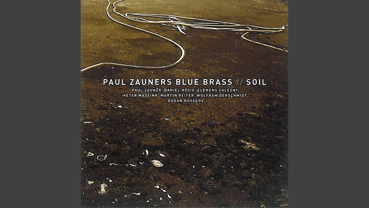 Birds Have To Fly (feat. Daniel Nösig, Clemens Salesny, Peter Massink, Martin Reiter, Wolfram...