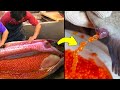 Caviar - How It&#39;s Made And Why It&#39;s So EXPENSIVE!