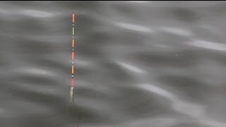 エビ撒き釣り入門 基礎から解説 仕掛けと釣り方のコツをご紹介 暮らし の