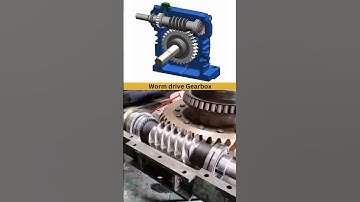 Worm Gear Motor Speed Reducer | Guess, Gear Ratio 🤔