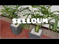 Repotting my giant philodendron selloum sahod yaman