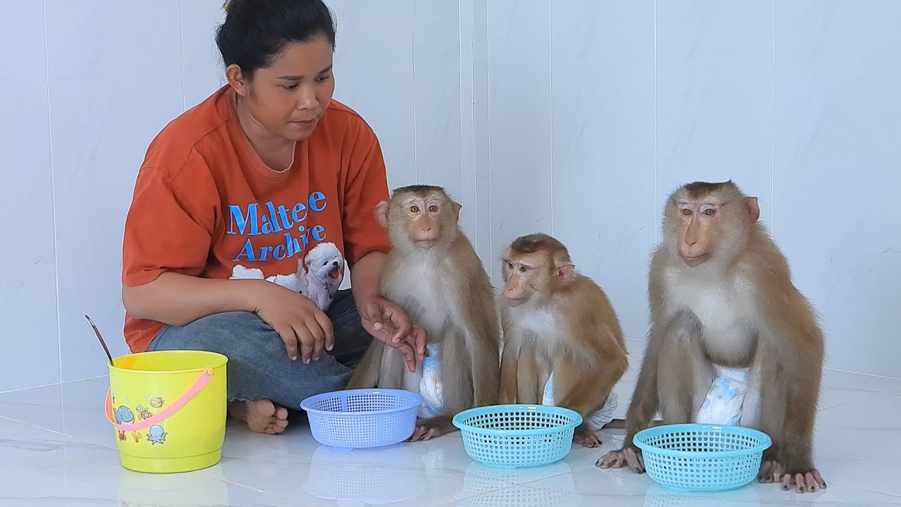 Smart Kako Family Eating Boiled Peanuts