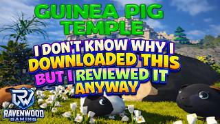 I Beat This Random Game in 21 Minutes… | Guinea Pig Temple Review screenshot 5