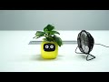 Ivy  a smart planter with endless fun