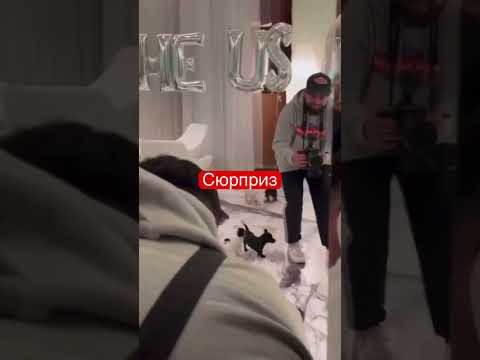 Дана Уайт приготовил
