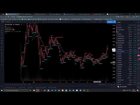 millionaire!-crypto-wave---intro-generara-comunidad-discord-7