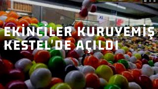 Ekinciler Kuruyemiş Kestel'de •  \