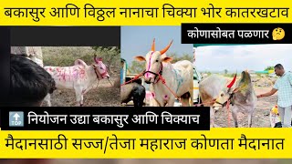 बकासुर आणि विठ्ठल नानाचा चिक्या भोर कातरखटाव मैदानसाठी सज्ज/तेजा सुंदर कोणता मैदानात/टॉप नियोजन ❤